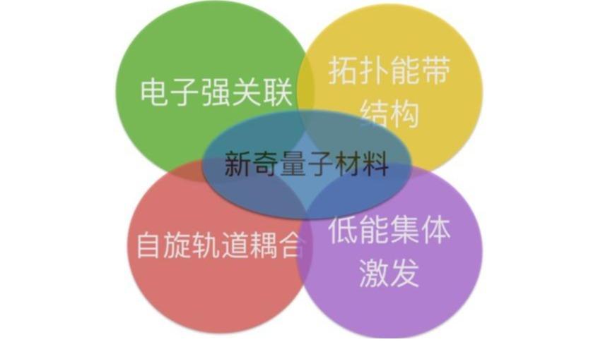 课题组