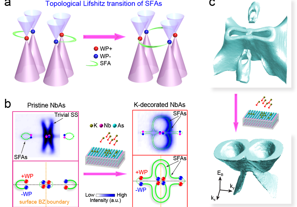 Researchers Discover Topological Electronic Structures Manipulation Method